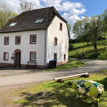 Vakantiehuis Sprink Vulkaneifel