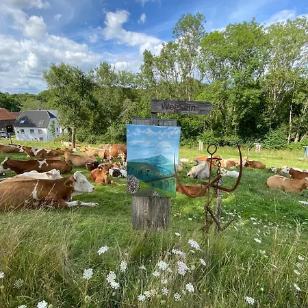 Vakantiehuis Sprink Vulkaneifel
