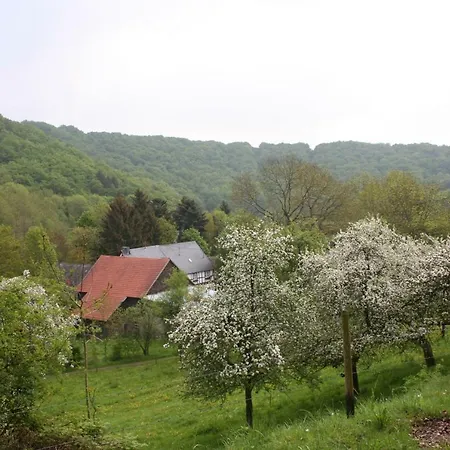 펜션 Sprink Vulkaneifel Strohn