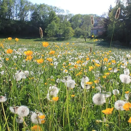 Vakantiehuis Sprink Vulkaneifel