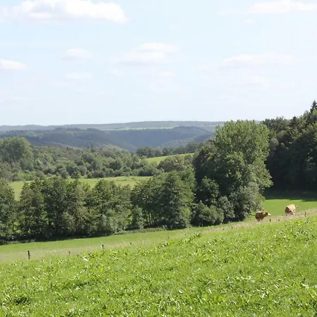 펜션 Sprink Vulkaneifel *