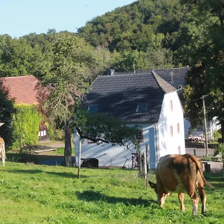 Sprink Vulkaneifel Vakantiehuis
