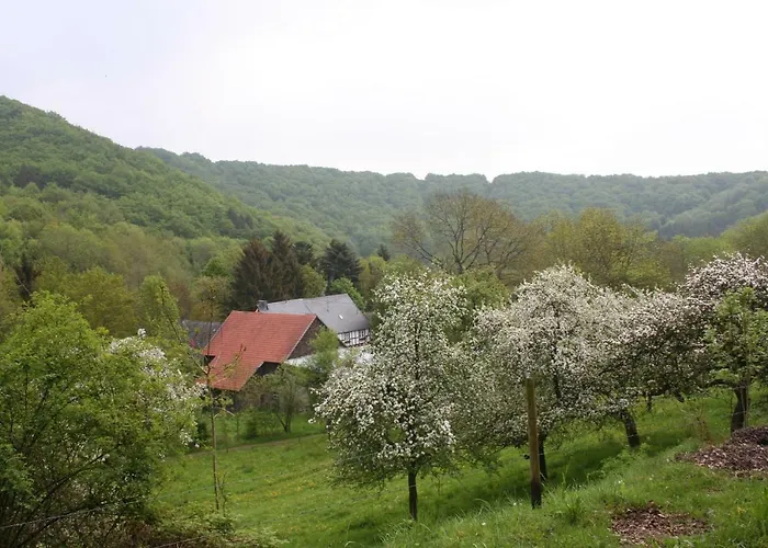 Feriehus Sprink Vulkaneifel Strohn