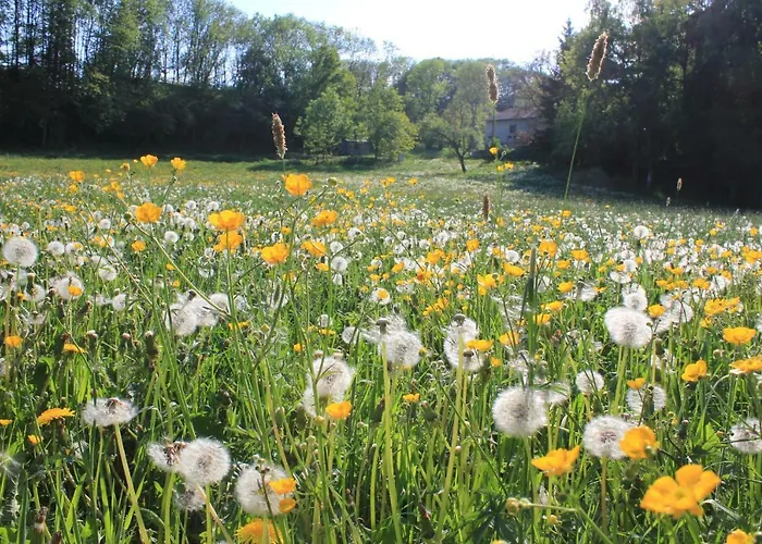 Feriehus Sprink Vulkaneifel