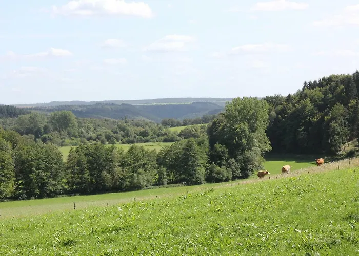 Feriehus Sprink Vulkaneifel *
