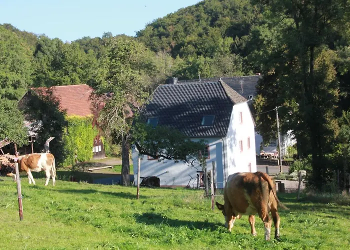 Sprink Vulkaneifel Feriehus
